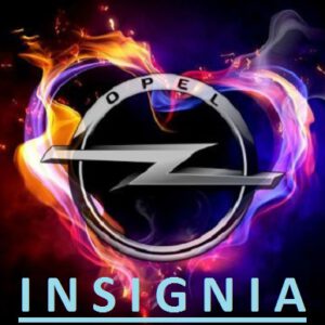 Opel Insignia Airbag (ACU)