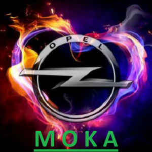 Opel Moka Airbag (ACU)