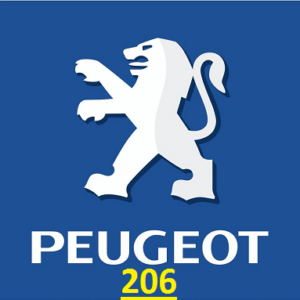 Peugeot 206 Airbag (ACU)